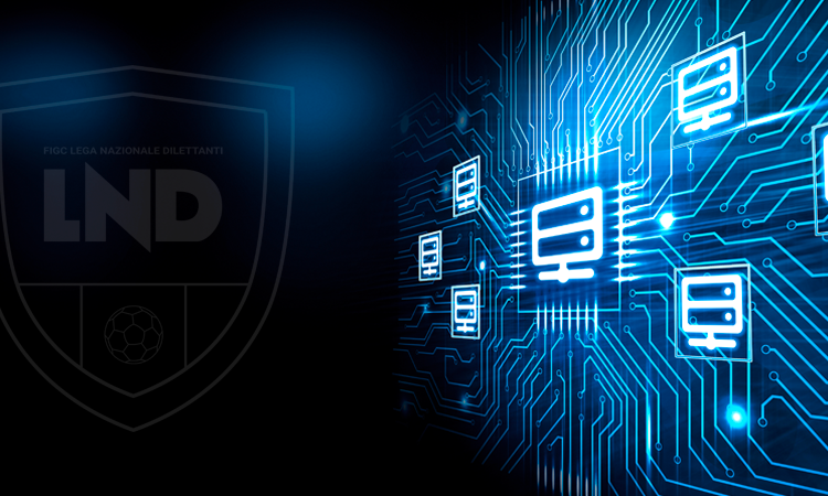 Manutenzione sistemi informatici Lnd